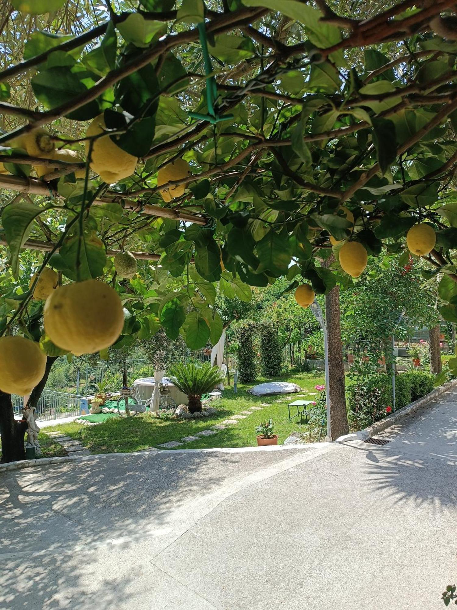 罗西亚住宿加早餐旅馆 Vietri 外观 照片